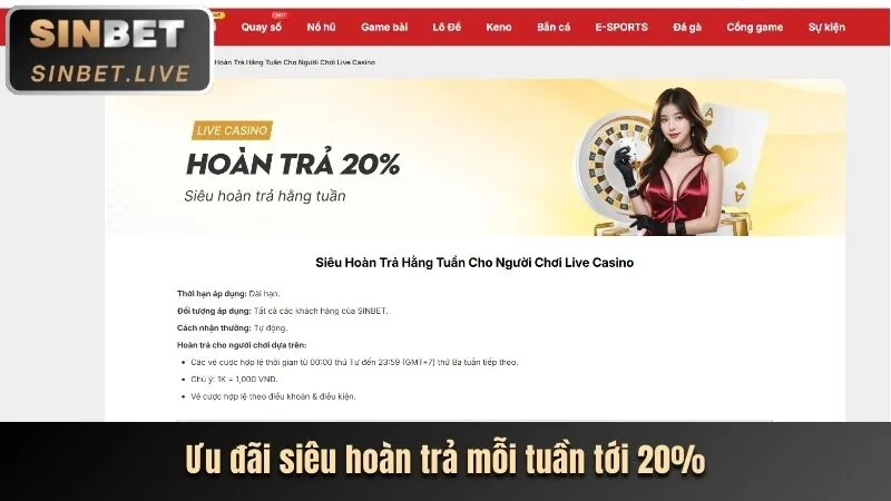 Trải nghiệm sòng bạc trực tiếp